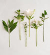 White Lily Bouquet