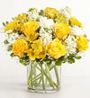 Yellow & White Delight™