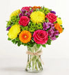 Fields of Europe® Celebration